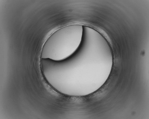 X0000094460954200711081056