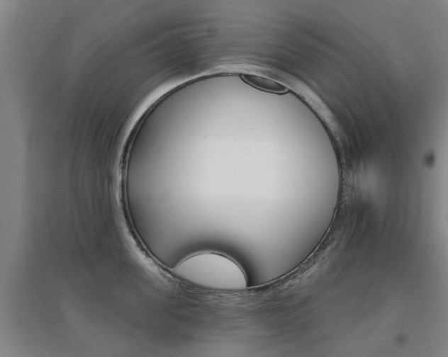 X0000094460955200711081056