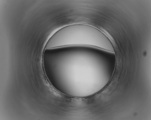X0000094460956200711081056