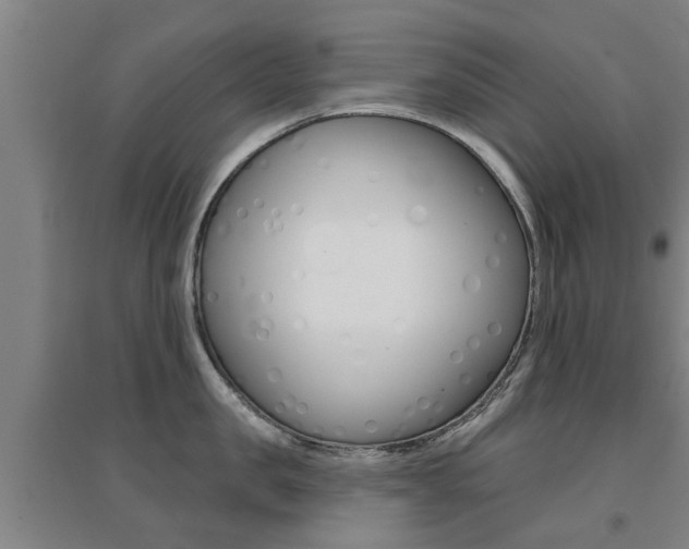 X0000094460957200711081056