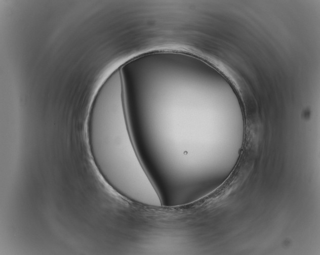 X0000094460959200711081056