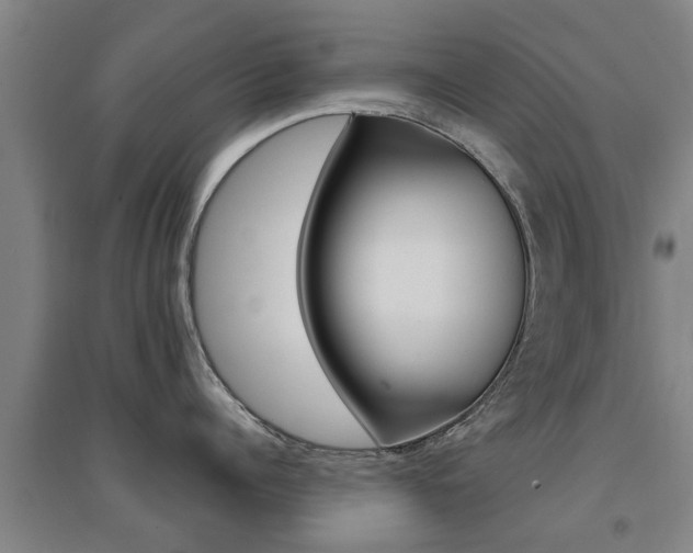 X0000094460960200711081056