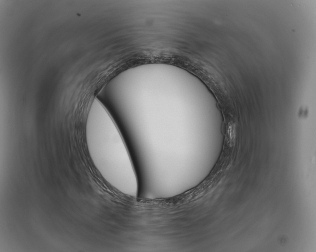 X0000094460963200711081055