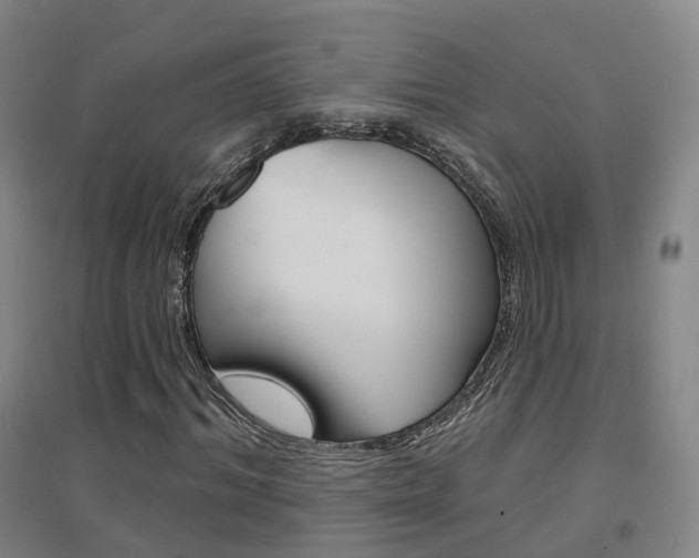 X0000094460964200711081055