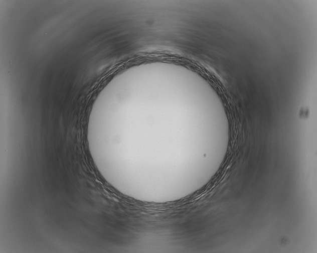 X0000094460965200711081055