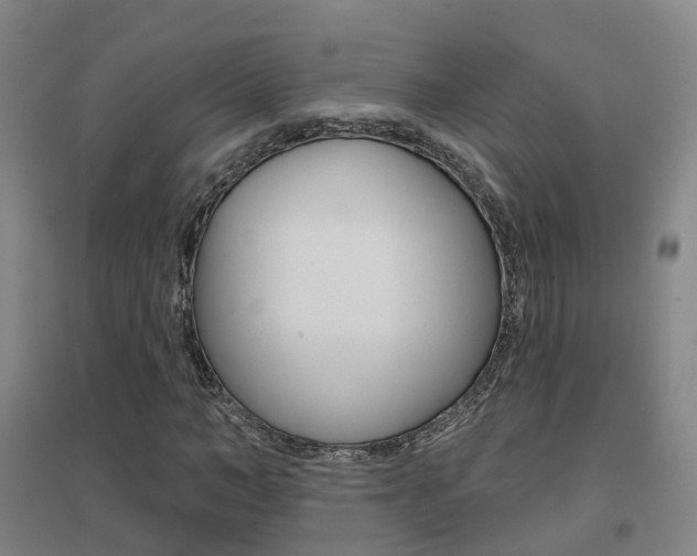 X0000094460966200711081055