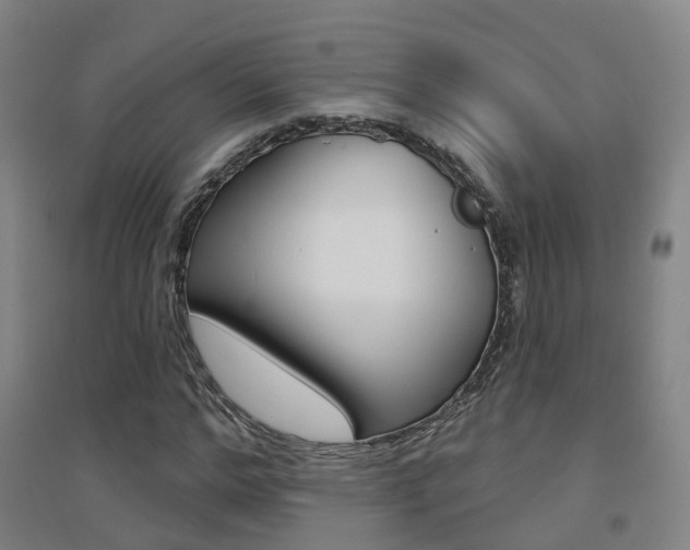 X0000094460968200711081055