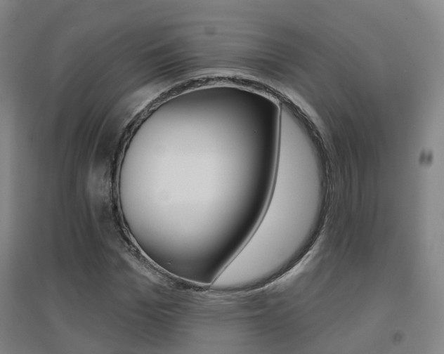 X0000094460969200711081055