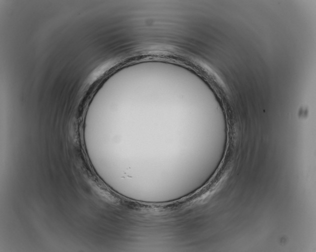X0000094460970200711081055