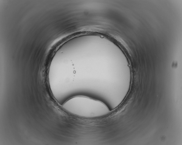 X0000094460971200711081055