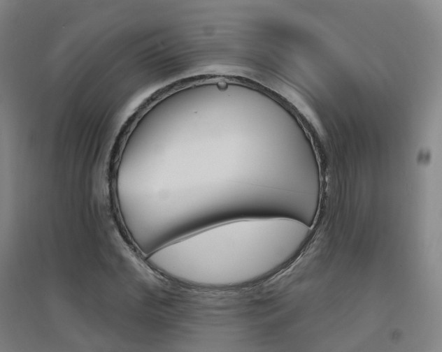 X0000094460972200711081055