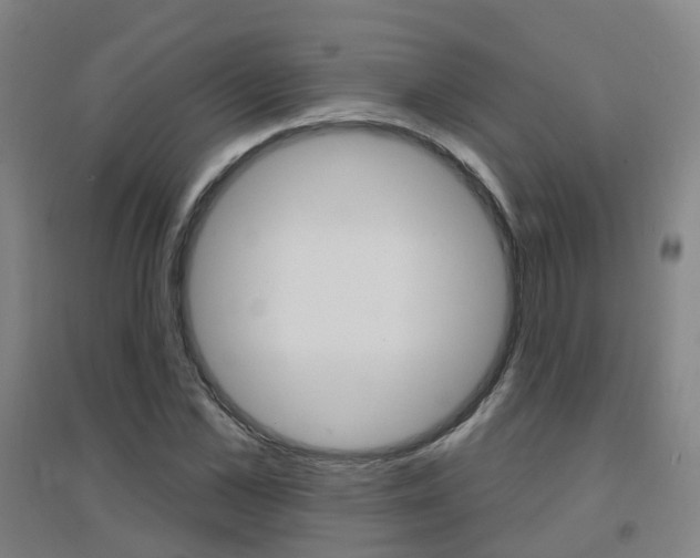 X0000094460973200711081055