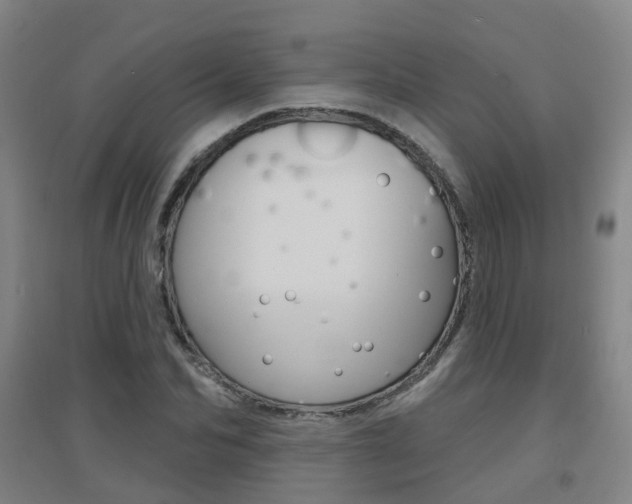 X0000094460974200711081055