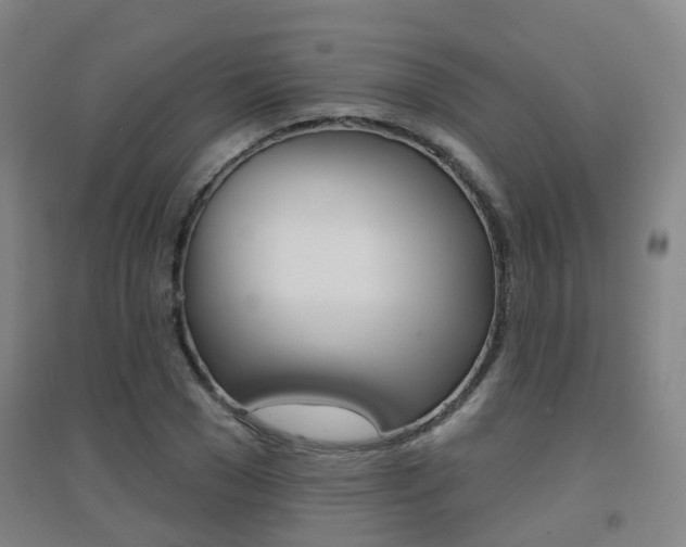 X0000094460977200711081055