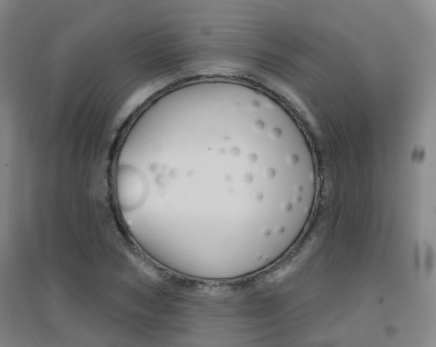 X0000094460978200711081055