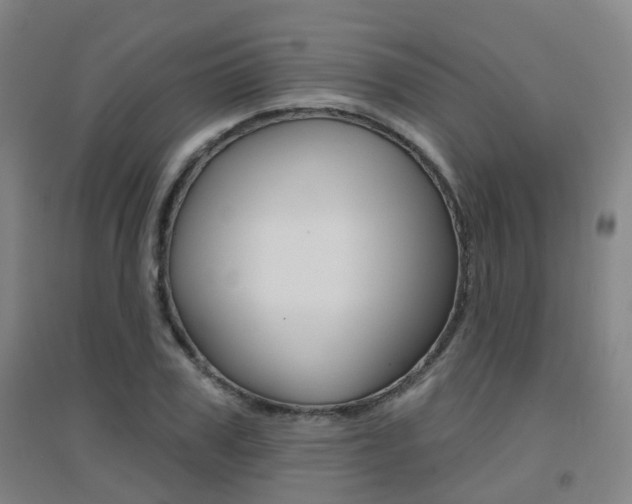 X0000094460979200711081055