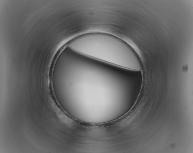 X0000094460980200711081055