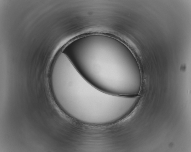 X0000094460981200711081055