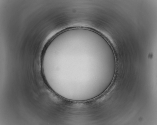 X0000094460982200711081055