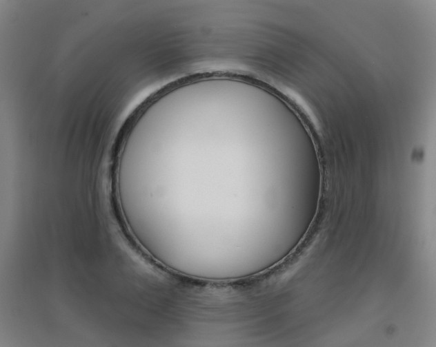 X0000094460983200711081055