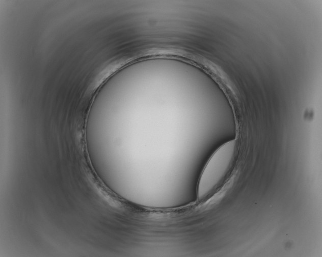 X0000094460985200711081055
