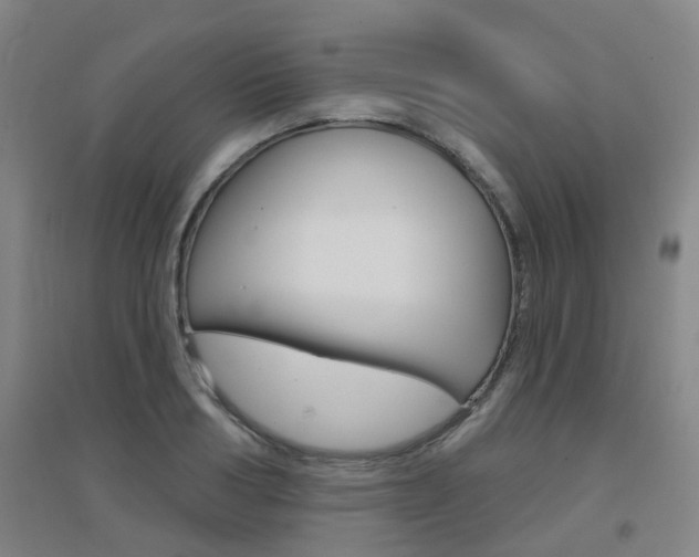 X0000094460986200711081055