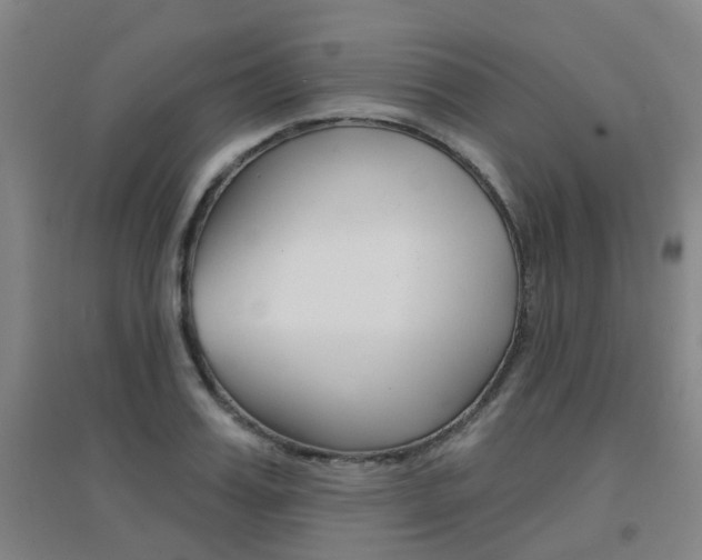 X0000094460987200711081055