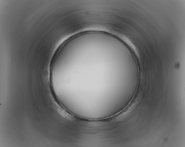 X0000094460988200711081055