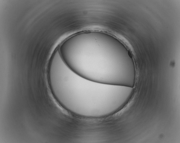 X0000094460989200711081055