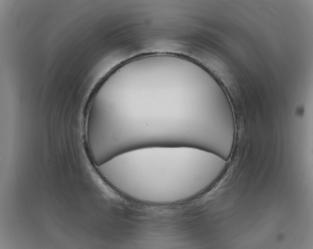 X0000094460990200711081055