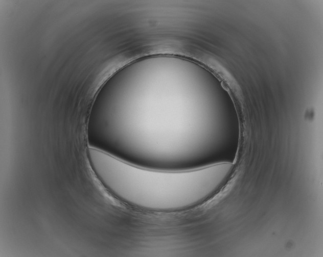 X0000094460993200711081055