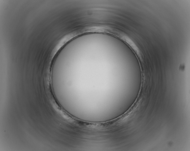 X0000094460994200711081055