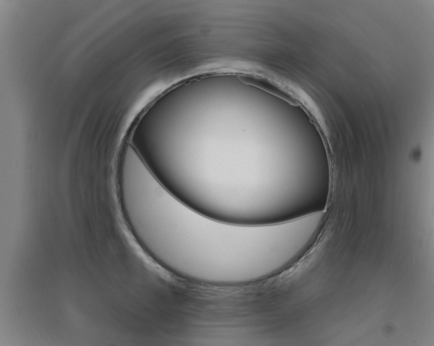 X0000094460997200711081055