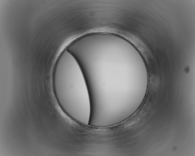 X0000094460998200711081055