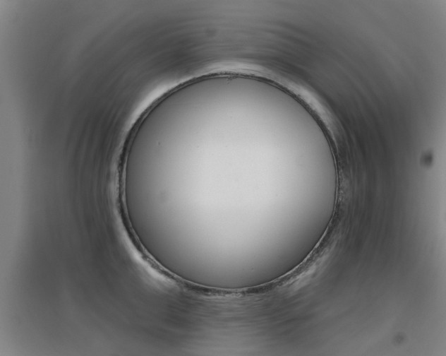 X0000094460999200711081055