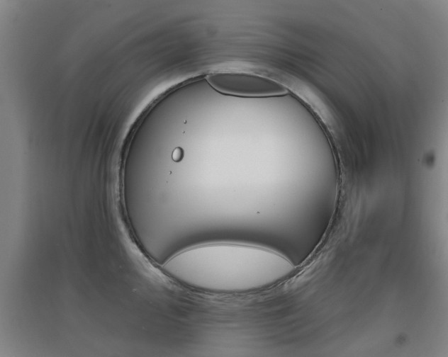 X0000094461000200711081055