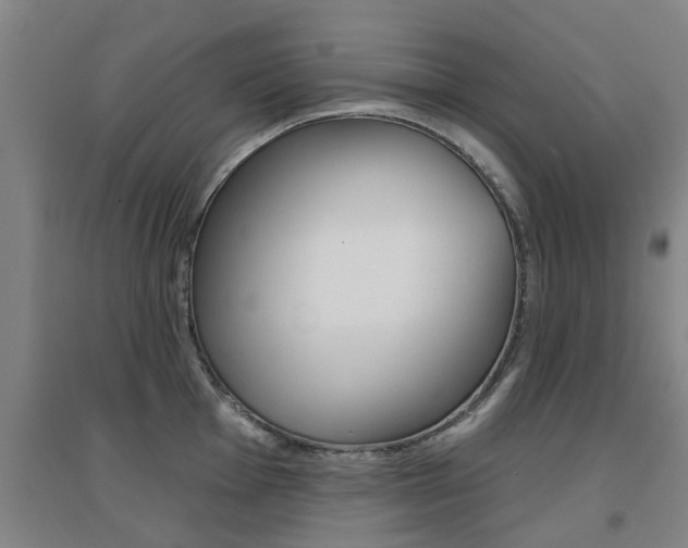 X0000094461001200711081055