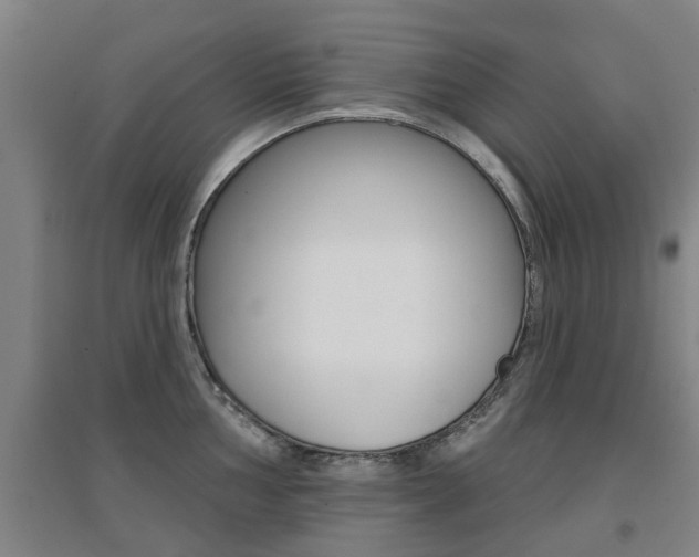 X0000094461002200711081055