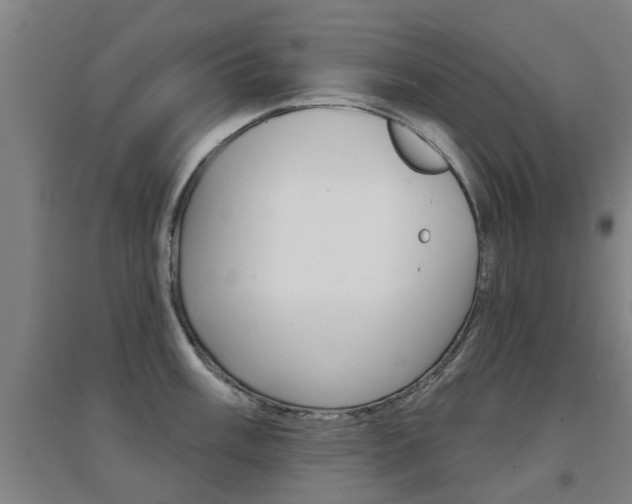 X0000094461003200711081055