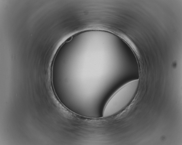 X0000094461004200711081055