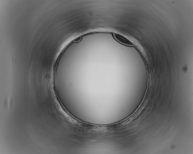 X0000094461006200711081055