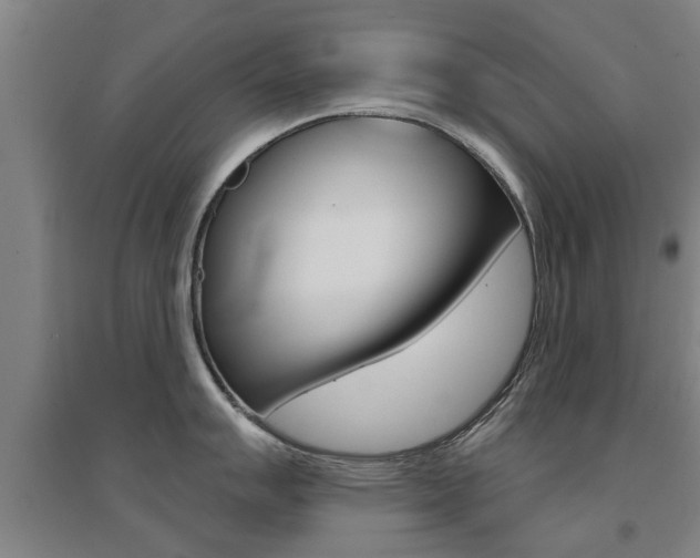 X0000094461007200711081055