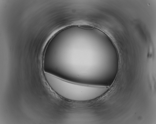 X0000094461008200711081055