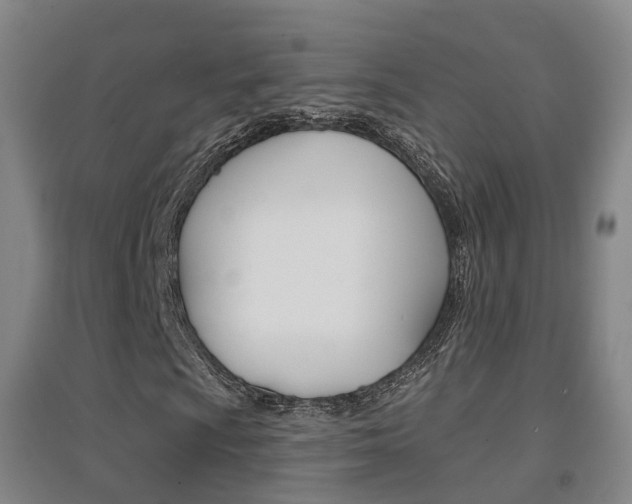 X0000094461009200711081054
