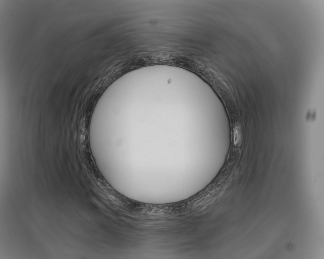 X0000094461011200711081054