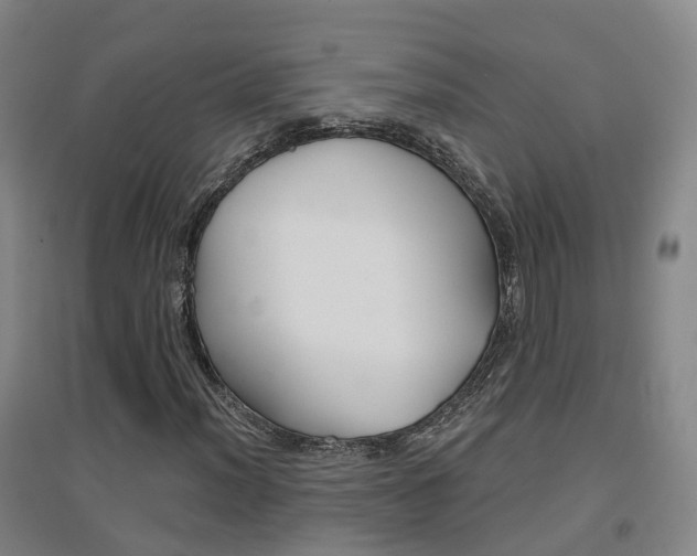 X0000094461012200711081054