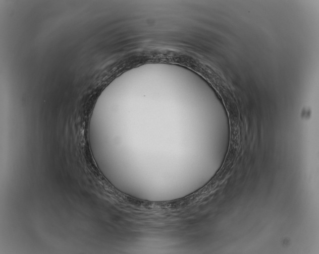 X0000094461013200711081054