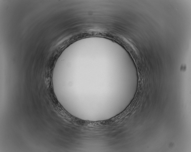 X0000094461015200711081054