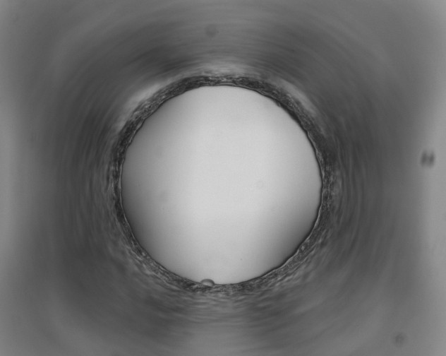 X0000094461016200711081054
