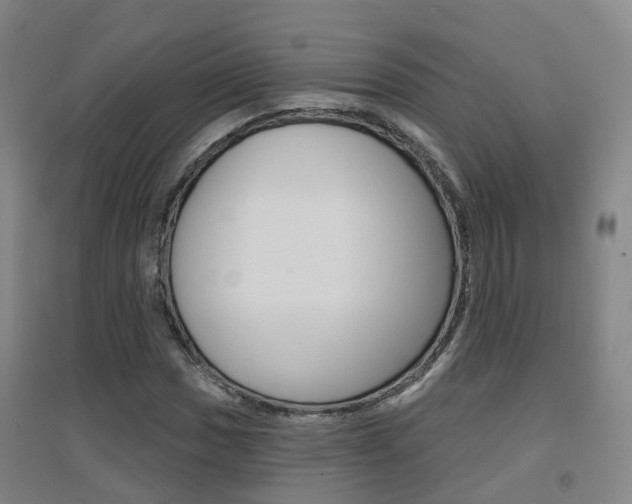 X0000094461017200711081054